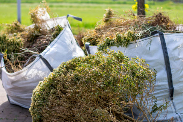 Same-Day Junk Removal Services in Von Ormy, TX